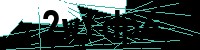 Security verification captcha