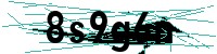 Security verification captcha
