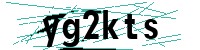 Security verification captcha