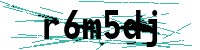 Security verification captcha