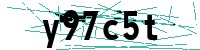 Security verification captcha