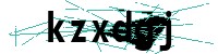 Security verification captcha