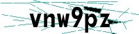 Security verification captcha