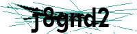 Security verification captcha