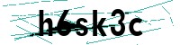 Security verification captcha