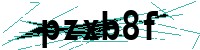 Security verification captcha
