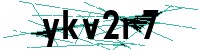 Security verification captcha