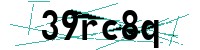 Security verification captcha