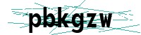 Security verification captcha