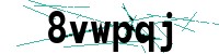 Security verification captcha
