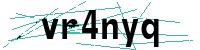 Security verification captcha
