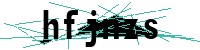 Security verification captcha
