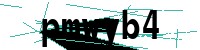 Security verification captcha