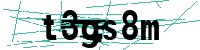 Security verification captcha