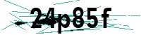 Security verification captcha