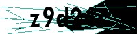 Security verification captcha