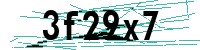 Security verification captcha
