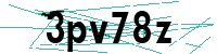 Security verification captcha