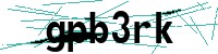 Security verification captcha