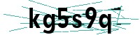 Security verification captcha