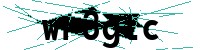 Security verification captcha