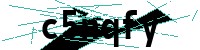 Security verification captcha