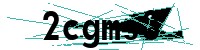 Security verification captcha