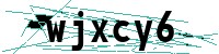 Security verification captcha