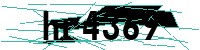 Security verification captcha