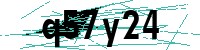 Security verification captcha