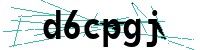 Security verification captcha