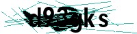 Security verification captcha