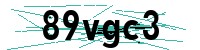 Security verification captcha