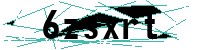 Security verification captcha