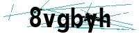 Security verification captcha