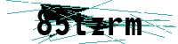 Security verification captcha