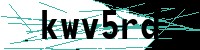 Security verification captcha