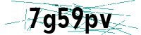 Security verification captcha