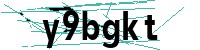Security verification captcha
